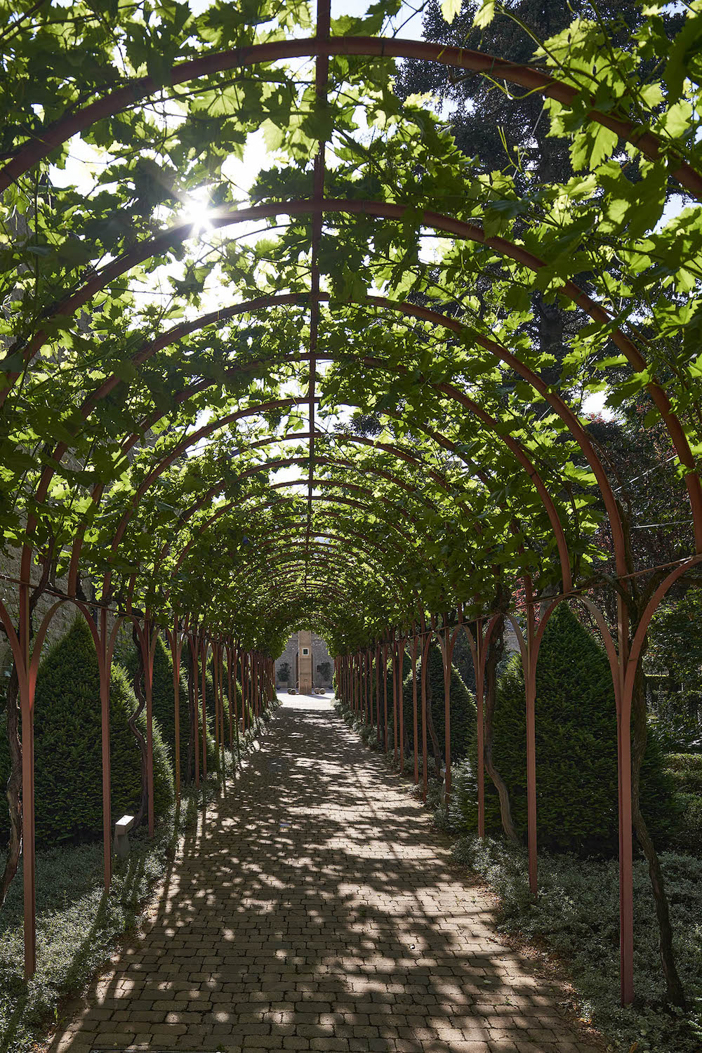Bodegas Marqués de Riscal